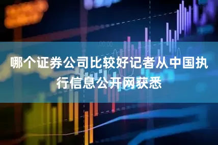 哪个证券公司比较好记者从中国执行信息公开网获悉