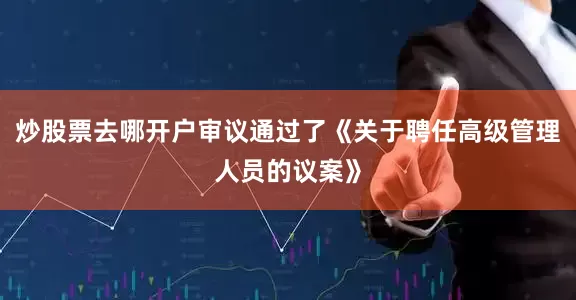 炒股票去哪开户审议通过了《关于聘任高级管理人员的议案》